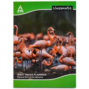 Classmate Long Notebook