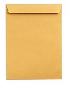 True-Ally Laminated Yellow Paper A4 Size Envelope Ideal For Home Office Secure Mailing | Poly Laminated inside | 10 x 12 inch (50)